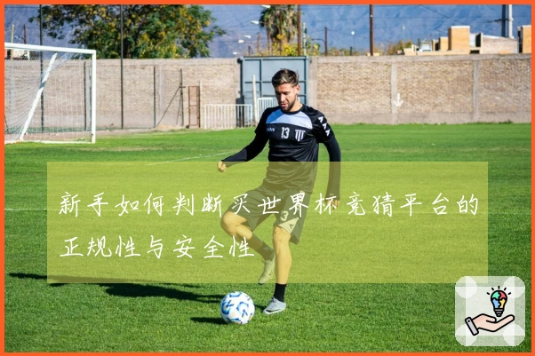 新手如何判断买世界杯竞猜平台的正规性与安全性