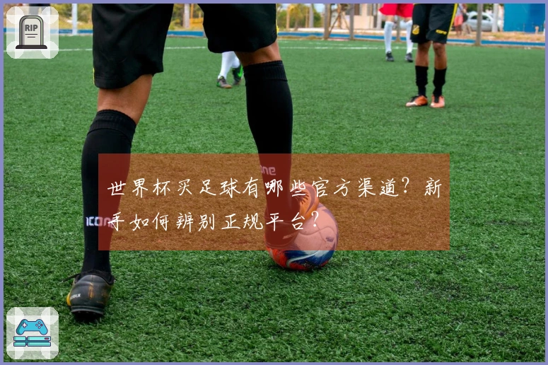 世界杯买足球有哪些官方渠道？新手如何辨别正规平台？