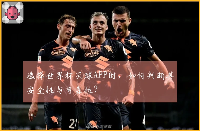 选择世界杯买球APP时，如何判断其安全性与可靠性？