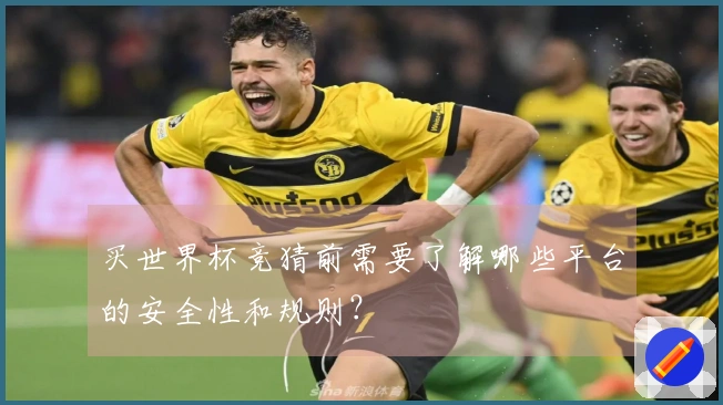 买世界杯竞猜前需要了解哪些平台的安全性和规则？