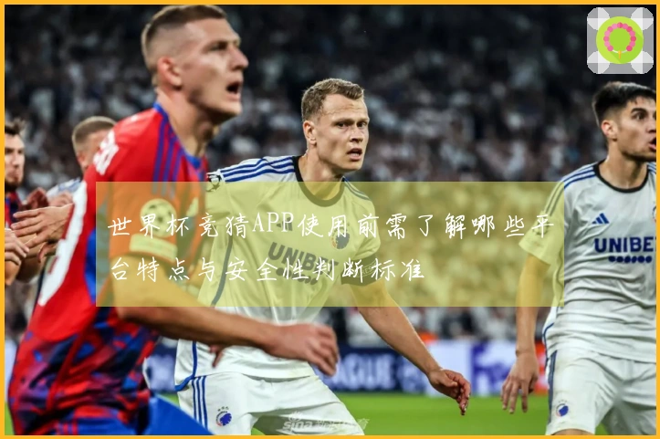 世界杯竞猜APP使用前需了解哪些平台特点与安全性判断标准
