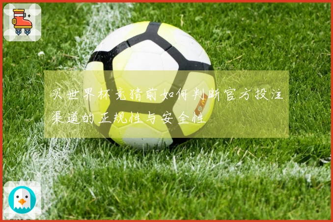 买世界杯竞猜前如何判断官方投注渠道的正规性与安全性