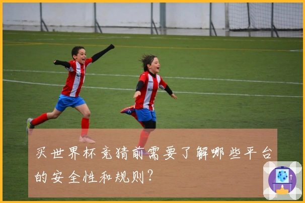 买世界杯竞猜前需要了解哪些平台的安全性和规则？