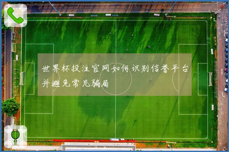 世界杯投注官网如何识别信誉平台并避免常见骗局