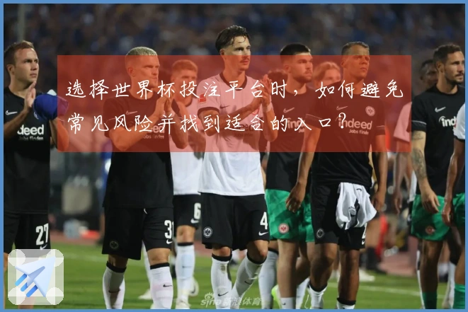 选择世界杯投注平台时，如何避免常见风险并找到适合的入口？