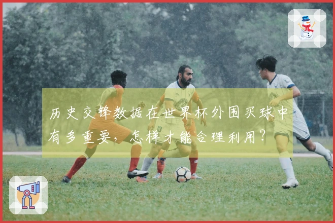 历史交锋数据在世界杯外围买球中有多重要，怎样才能合理利用？