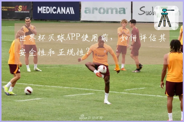 世界杯买球APP使用前，如何评估其安全性和正规性？