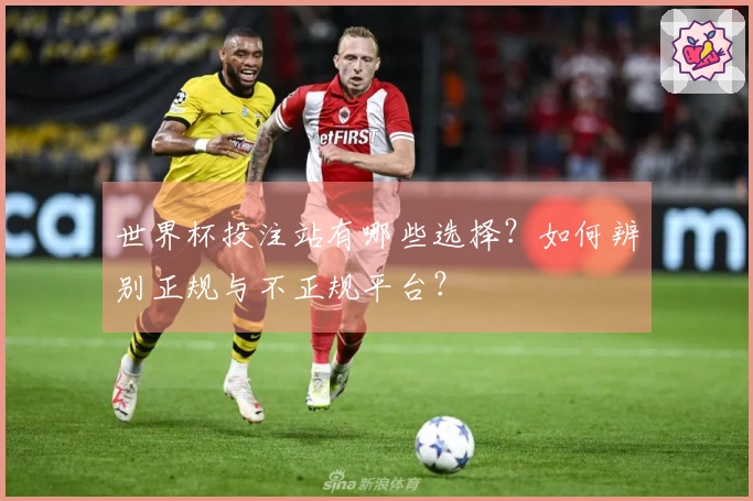 世界杯投注站有哪些选择?如何辨别正规与不正规平台?
