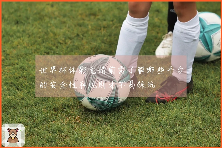 世界杯体彩竞猜前需了解哪些平台的安全性和规则才不易踩坑