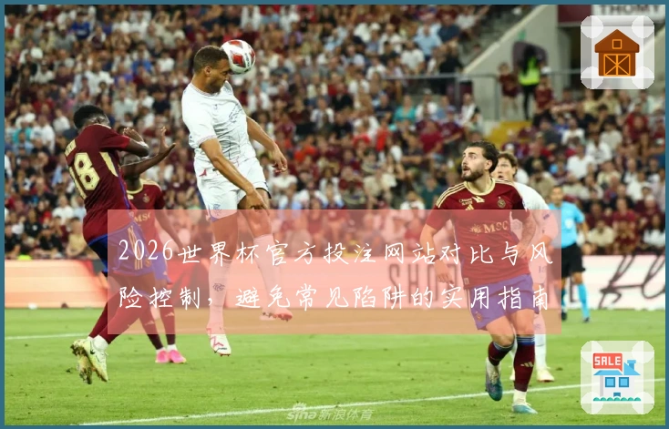 2026世界杯官方投注网站对比与风险控制，避免常见陷阱的实用指南