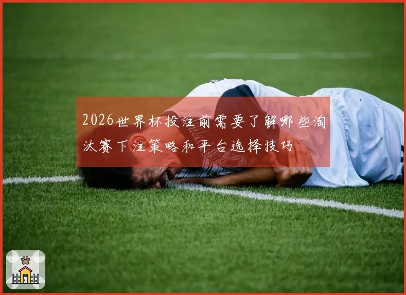 2026世界杯投注前需要了解哪些淘汰赛下注策略和平台选择技巧