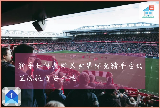 新手如何判断买世界杯竞猜平台的正规性与安全性