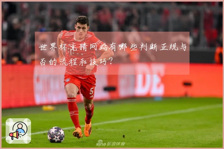 世界杯竞猜网站有哪些判断正规与否的流程和技巧？