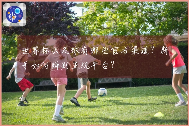 世界杯买足球有哪些官方渠道？新手如何辨别正规平台？