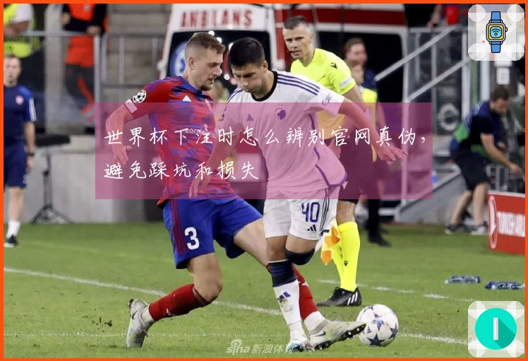 世界杯下注时怎么辨别官网真伪，避免踩坑和损失