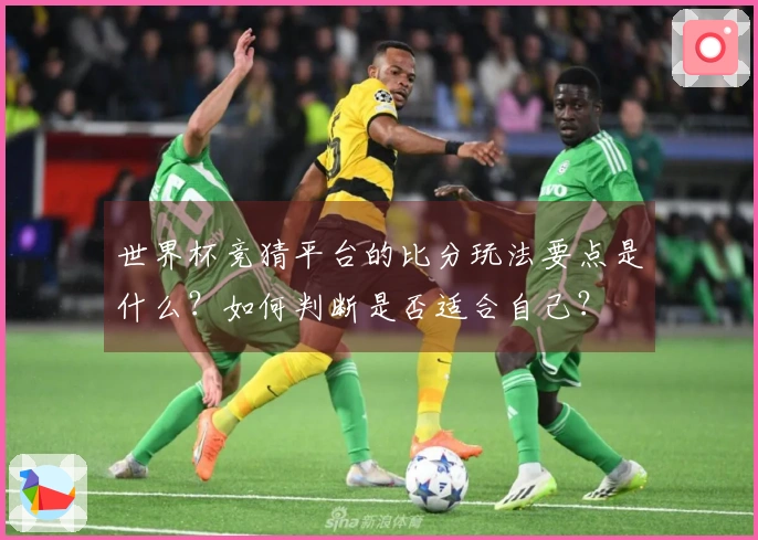 世界杯竞猜平台的比分玩法要点是什么？如何判断是否适合自己？