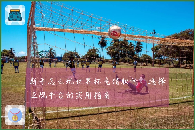 新手怎么玩世界杯竞猜软件?选择正规平台的实用指南